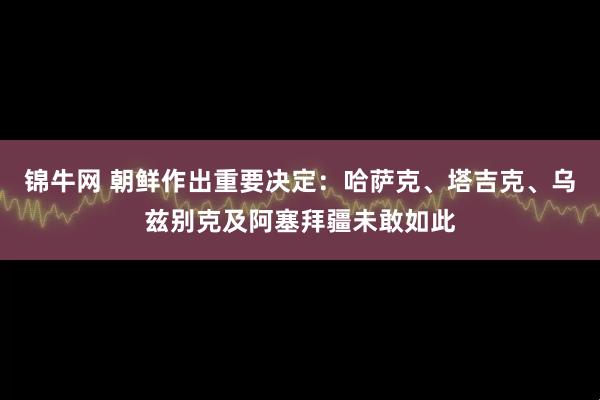 锦牛网 朝鲜作出重要决定：哈萨克、塔吉克、乌兹别克及阿塞拜疆未敢如此