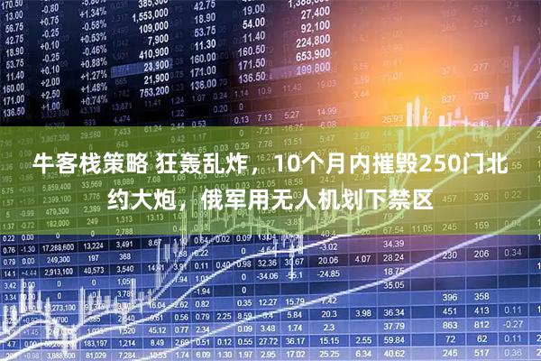 牛客栈策略 狂轰乱炸，10个月内摧毁250门北约大炮，俄军用无人机划下禁区