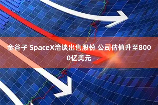 金谷子 SpaceX洽谈出售股份 公司估值升至8000亿美元