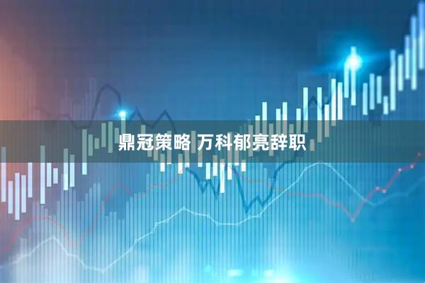 鼎冠策略 万科郁亮辞职